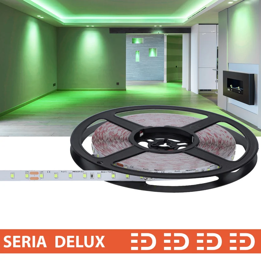 Zdjęcie produktu: 24D004-100-10-G